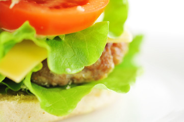 hamburger with vegetables  close up