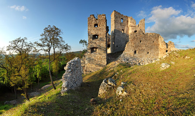 Fototapeta na wymiar Ruins of Castle Hrusov