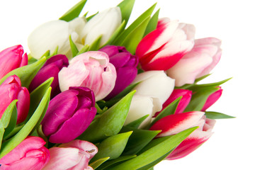Colorful bouquet tulips