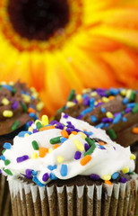 Chocolate Cupcakes Brighted by Soft-focus Sunflower