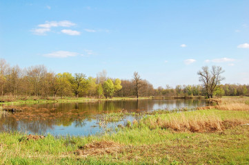 Fototapeta na wymiar Wiosna, drzewo, las, jezioro, łąki i błękitne niebo