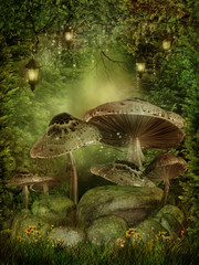 Magiczny las z grzybami i kamieniami - obrazy, fototapety, plakaty