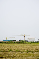 Factories and rice field