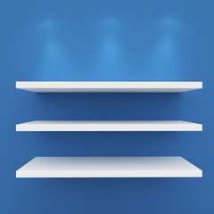 3d Empty shelves for exhibit
