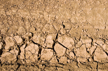 Dry ground