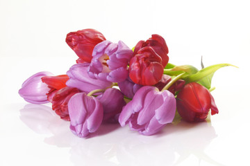 Obraz na płótnie Canvas rote und rosa Tulpen / red and pink tulips