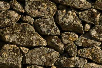lichen over stone wall