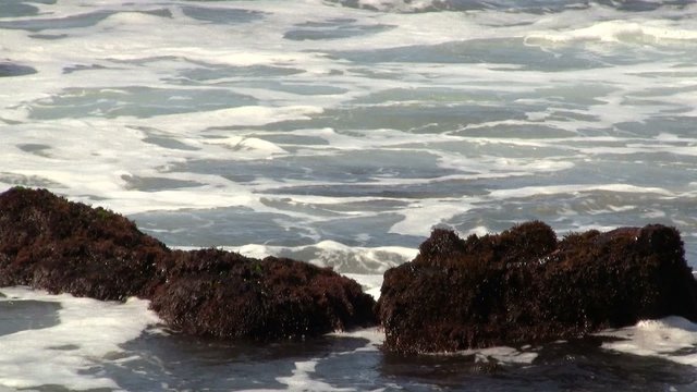 Closeup of Sea Rocks with Waves Crashing