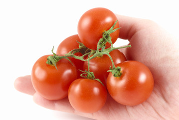 red fresh bio tomato