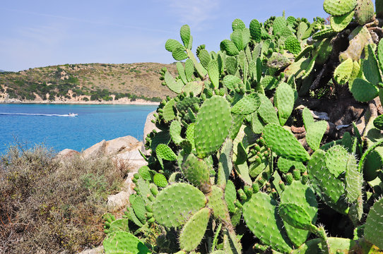PUNTA MOLENTIS, VILLASIMIUS, SARDEGNA, ITALIA