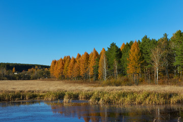 Wood,  river  nature in the Far East