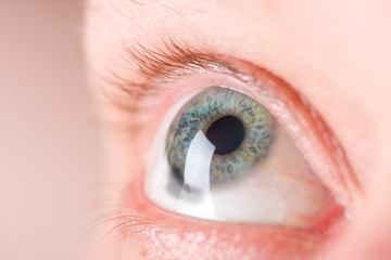 eye macro.