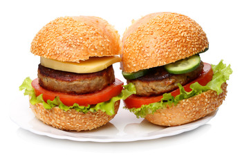 Hamburger and cheeseburger on a white plate