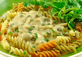 Fusilli Pasta