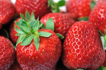 strawberries with stem