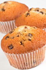 Muffins on a white background