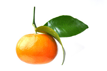 Clementine mit gr&uuml;nen Bl&auml;tter