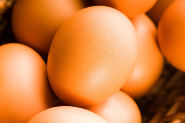 Fresh brown cage free eggs