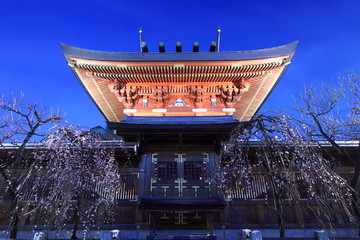 湯島天神 (東京・文京区)