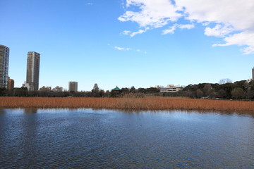 寛永寺・弁天堂 (東京・上野公園)