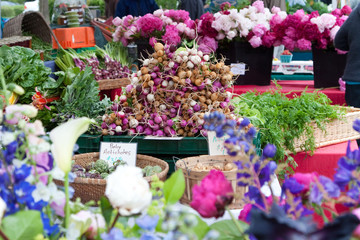 Colorful farm stand