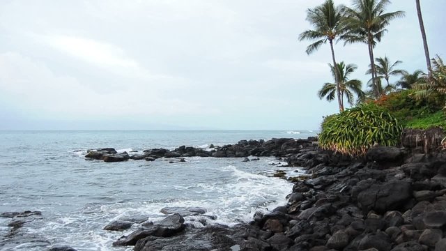 Hawaii Beach Coastal Rocks