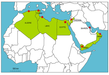 Révolution dans le monde arabe 2010-2011