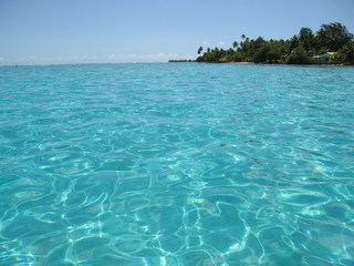 Blue Tropical Lagoon