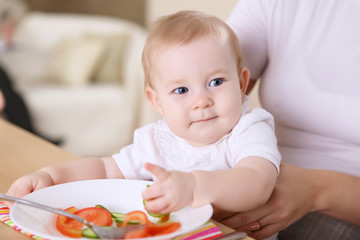 Fototapeta premium a young mother feeding her baby at home