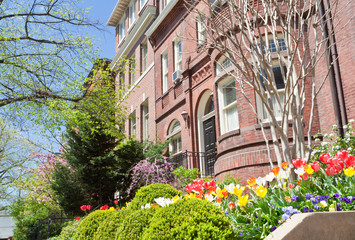 Fototapeta na wymiar Wiosna Tulipany Richardsonian romańskie domy wiersz