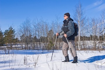 Fototapeta na wymiar hiker in a winter forest