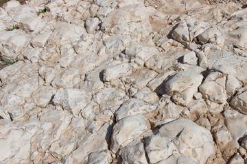 Wall