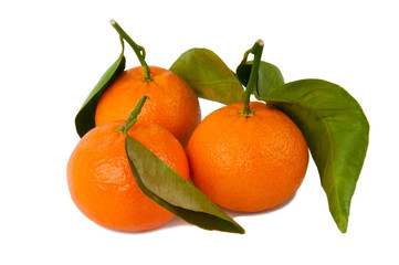 mandarines on white