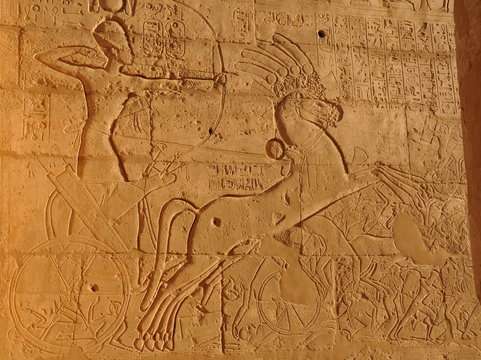 Warrior King