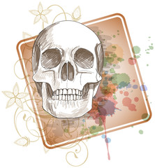 Skull sketch & floral calligraphy ornament