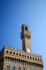 Obraz premium Palazzo Vecchio (Firenze)