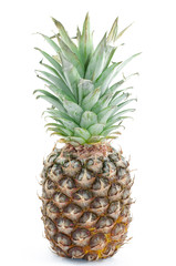 Fototapeta premium pineapple