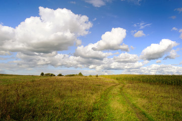 Rural Landscape