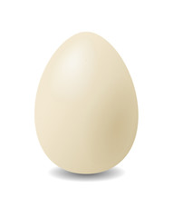 Hen's egg.