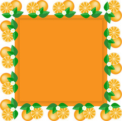 orange square frame made of fruit and orange flower