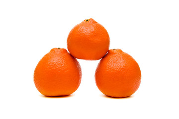 oranges on a white background.