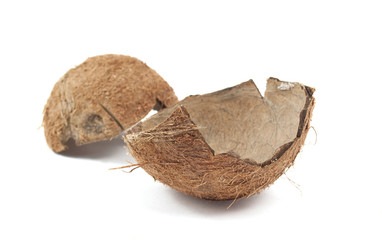 coconut shell