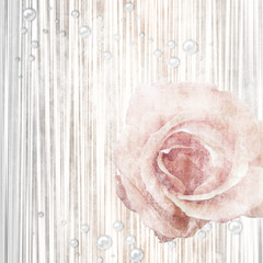 Grunge shabby Roses Background with pearls and stripes  ( 1 of s