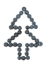 blueberry
