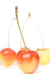 Sweet cherry