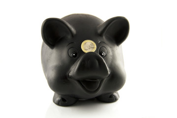 Sparschwein mit Euro auf der Nase