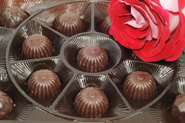 Rose and chocolate