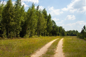 Fototapeta na wymiar hot summer day. road near the forest