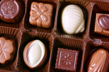 Chocolates closeup