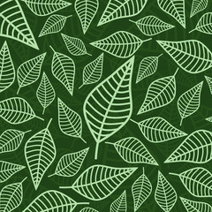 Fototapeta na wymiar leaf pattern